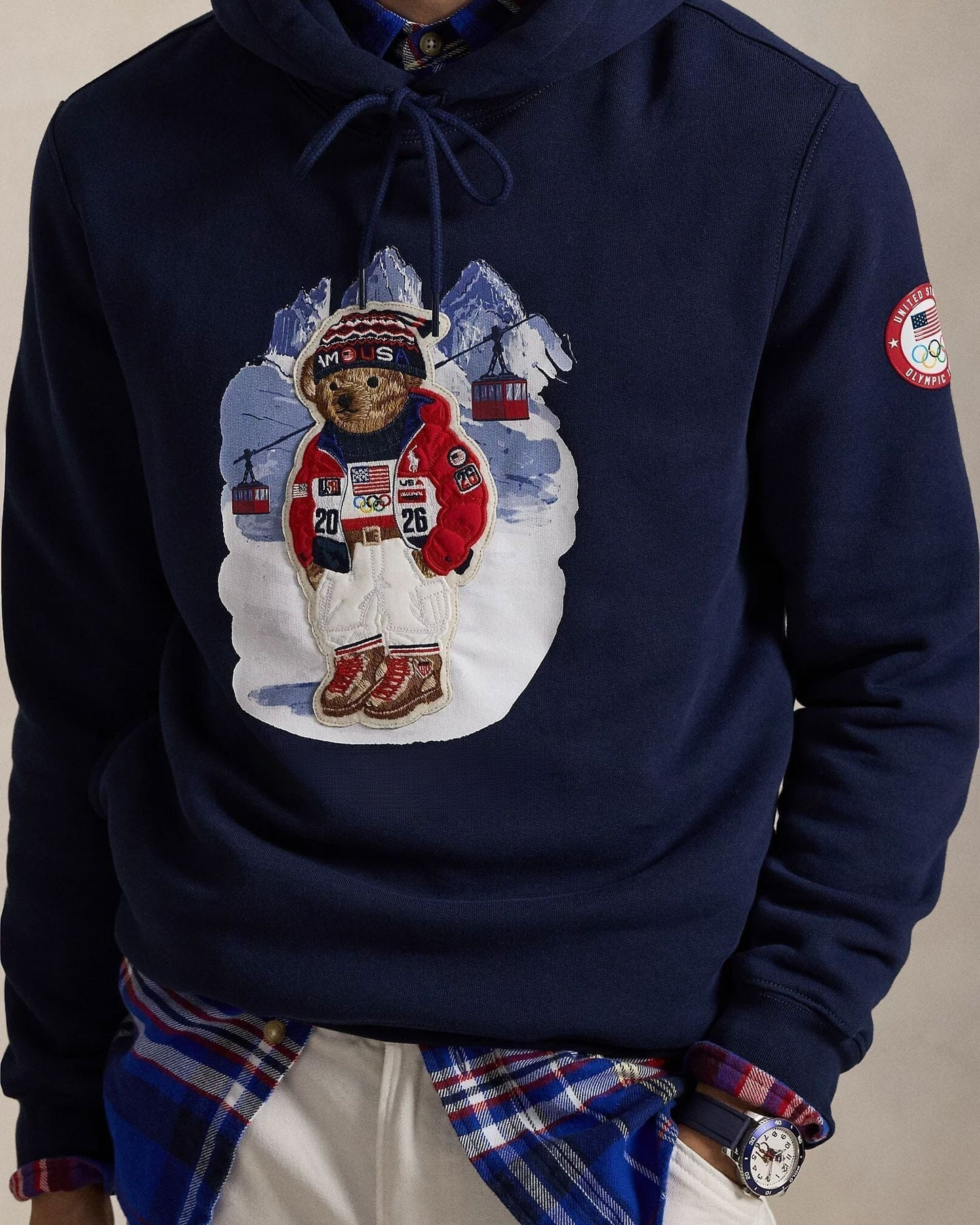 Team USA Bear Hoodie