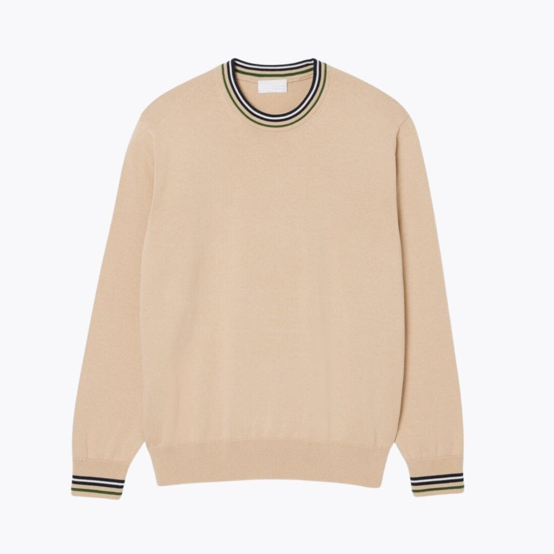Striped Cotton Jersey Sweater